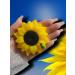 FRAU ALKEN Soap - sunflower (6 sets) fragrant - Buy Online on GoSupps.com