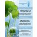 KUDASH Facial sun cream 50 SPF with collagen - Buy Online on GoSupps.com