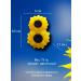 FRAU ALKEN Soap - sunflower 8 - Buy Online on GoSupps.com