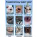 Medical eye drops for cats and dogs 20 ml - Buy Online on GoSupps.com