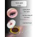 Tao eye shadow - Buy Online on GoSupps.com
