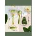 Bilioner A jade massage set for massage of the face of Guasha - Buy Online on GoSupps.com