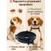 Asya Mir Flea and dog ticks collar - Buy Online on GoSupps.com