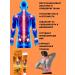 IMC Joint ointment and cartilage in the knee joint - Buy Online on GoSupps.com