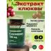NUTRAXIN Cranberry Cranberry Extract 500 mg - Buy Online on GoSupps.com