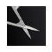 Professional narrow scissors for manicure - Buy Online on GoSupps.com