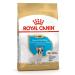 Royal Canin French Bulldog Puppy Food for French Bulldog Puppies 3 kg