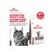 ROYAL CANIN Gastrointestinal Moderate Calorie Food for cats prone to weight gain and with gastrointestinal disorders 2 kg - Buy Online on GoSupps.com