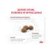 ROYAL CANIN Gastrointestinal Moderate Calorie Food for cats prone to weight gain and with gastrointestinal disorders 2 kg - Buy Online on GoSupps.com