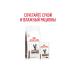 ROYAL CANIN Gastrointestinal Moderate Calorie Food for cats prone to weight gain and with gastrointestinal disorders 2 kg - Buy Online on GoSupps.com