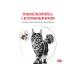 ROYAL CANIN Gastrointestinal Moderate Calorie Food for cats prone to weight gain and with gastrointestinal disorders 2 kg - Buy Online on GoSupps.com