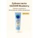 ban11 SADOER Blueberry Refreshing Toothpaste