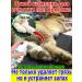Dry shampoo for animals for washing paws 200 ml