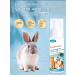 Dry shampoo for animals for washing paws 200 ml - Buy Online on GoSupps.com
