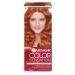 Garnier Cream for hair Color Sensation 7.40 - Buy Online on GoSupps.com