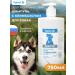 Goodman Dog shampoo doctor with climonon antifungal - Buy Online on GoSupps.com