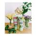 BISOU Body Creams Elastic and Detox I Feel Nature - Buy Online on GoSupps.com
