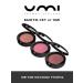 VIKTORIA STANEVICH Set 1 blunder umi shade for eyelids - Buy Online on GoSupps.com