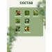Altai cedar Phytochi Altai 9 for the eyes with blueberries and an armored manner 30 f p 2 g - Buy Online on GoSupps.com