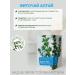 Altai cedar Phytochi Altai 9 for the eyes with blueberries and an armored manner 30 f p 2 g - Buy Online on GoSupps.com