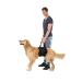 Trixie Transport bandage for dogs XL 85-98cm 45-55kg - Buy Online on GoSupps.com