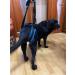 Help for dogs rear support - Buy Online on GoSupps.com