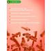 Siberian fiber Healthy intestines fiber for intestines 2 pcs x 300 g - Buy Online on GoSupps.com