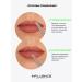 Influence Beauty Lip pencil matte tone 05 pink nude - Buy Online on GoSupps.com
