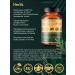 Herbs Type 2 collagen 400 mg 60 capsules - Buy Online on GoSupps.com