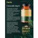 Herbs Type 2 collagen 400 mg 60 capsules - Buy Online on GoSupps.com