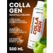 SportTech Nutrition Liquid collagen for the joints and ligaments of Collagen Liquid 500 ml