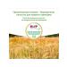 Hipp Porridge wheat silent from 5 months 2x200g - Buy Online on GoSupps.com