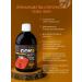 Art Life Chaga juice from the Siberian taiga bio -access - Buy Online on GoSupps.com