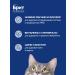 Brit Dry food food for cats sterilized cats 8 kg - Buy Online on GoSupps.com