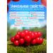 The World of Schisandra Syrup of Chinese lemonnik 0.3 liters - Buy Online on GoSupps.com