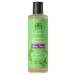 Urtekram Organic shampoo for normal hair Aloe Vera 250 ml - Buy Online on GoSupps.com