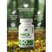 NaturalSupp MAKA Peruvian 500 mg for energy 60 capsules - Buy Online on GoSupps.com