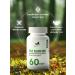 NaturalSupp Fatberner 600 mg for weight loss 60 capsules - Buy Online on GoSupps.com