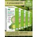 Evalar Tea with increased uric acid content 20 packs
