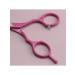 Charites Scissors hairdressers straight pink 5.5 for hair cutting - Buy Online on GoSupps.com