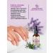 LANDBEEPLANT Lavender and rosemary oil cuticle oil - Buy Online on GoSupps.com