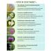 ALFIT 2 herbal collection vitamins for vision diet - Buy Online on GoSupps.com