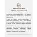 LANDBEEPLANT Hand oil "Lemongrass and lime" - Buy Online on GoSupps.com