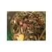 HAPPY JANGLE grain mixture Rabbit Grand Carbonifier 400 grams Happy Jangle - Buy Online on GoSupps.com