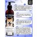 Witty Pets Superching shampoo for dogs and cats - Buy Online on GoSupps.com