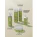 Cadiveu Vegan shampoo for curly hair 250 ml - Buy Online on GoSupps.com
