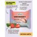 Fito Forma Pp dessert in chocolate strawberries with cream 50 g