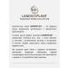 LANDBEEPLANT Hand oil "Grapefruit and lemon" - Buy Online on GoSupps.com