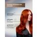 Luminance Persistent hair dye 4.0 cold chestnut 150 ml - Buy Online on GoSupps.com