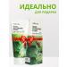 Lebelage Foam for washing the face with mucin of Korea snail 100 ml - Buy Online on GoSupps.com